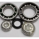 All Balls Racing Rear Differential Bearing And Seal Kit Kawasaki Bayou 300 2x4 2000-2005