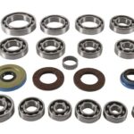Quad Boss Transaxle Bearing Kit RZR XP Turbo / RS1 2016-2020