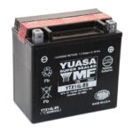 Yuasa AGM Battery